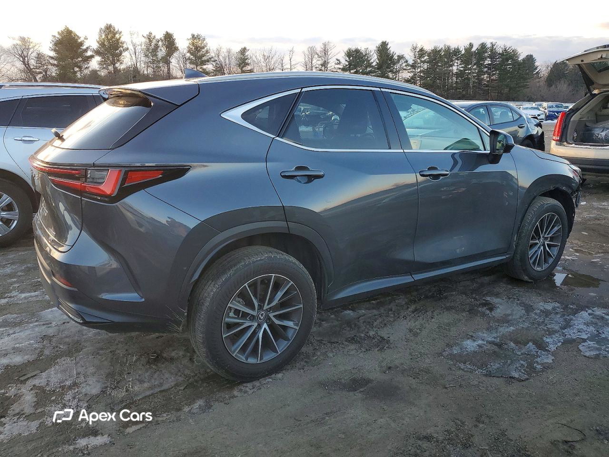 Lexus NX 2024