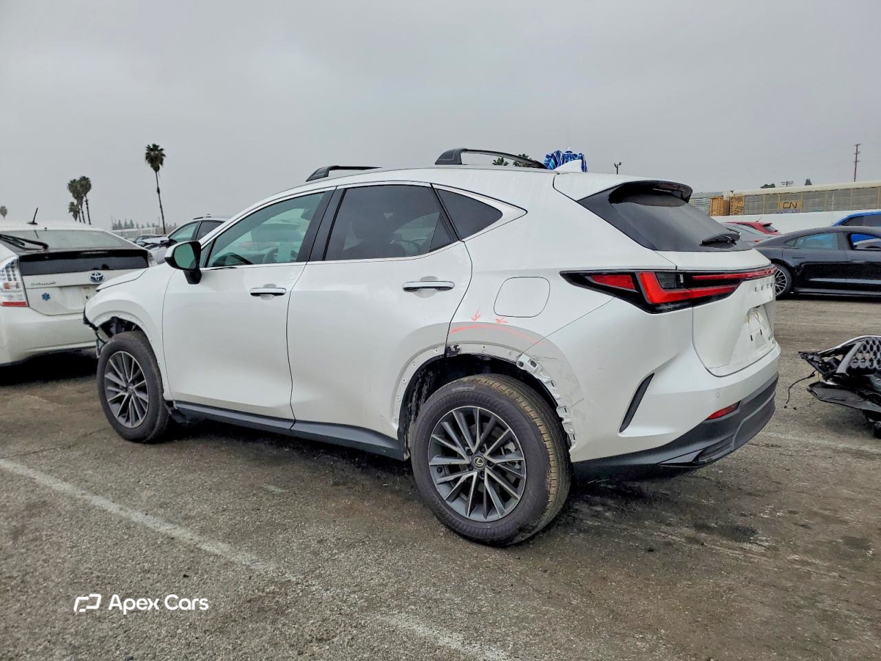 Lexus NX 2025