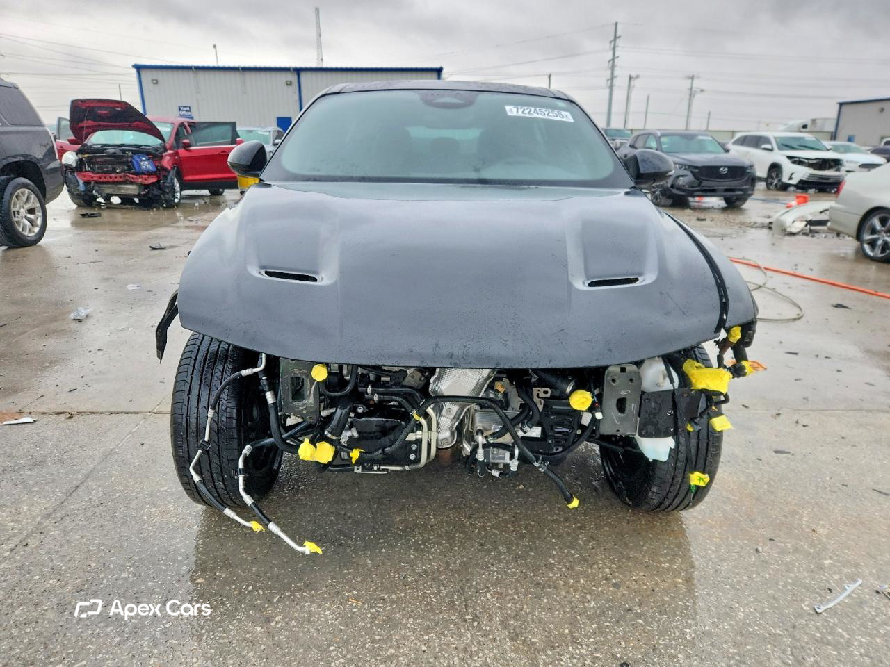 Dodge Hornet 2024