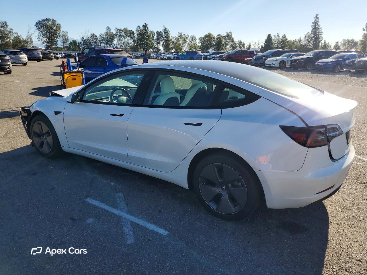 Tesla Model 3 2021