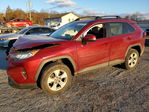 Toyota RAV 4 2021