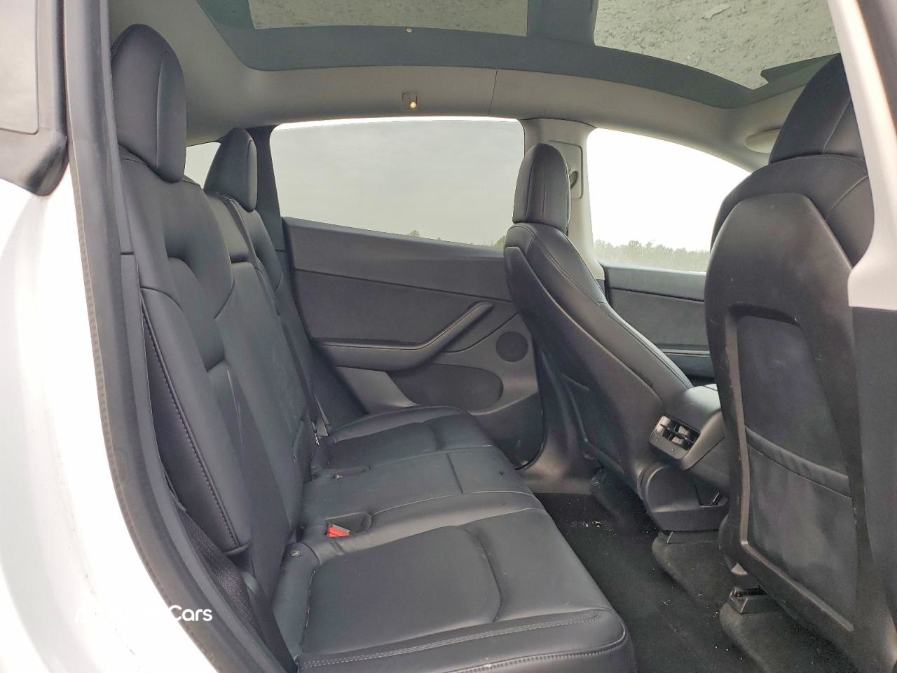 Tesla Model Y 2020