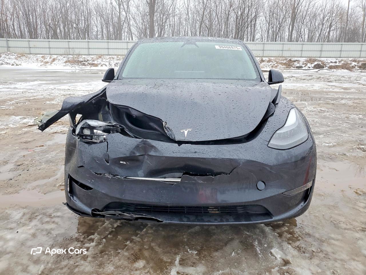 Tesla Model Y 2024