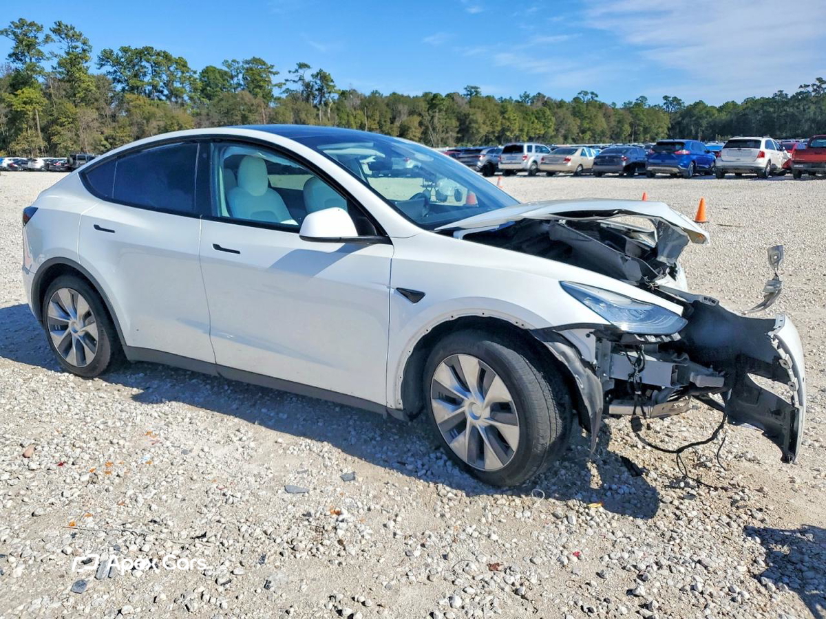Tesla Model Y 2020