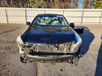 Honda Accord 2010