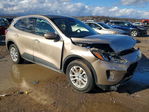 Ford Escape 2020