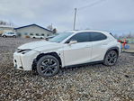 Lexus UX 2020