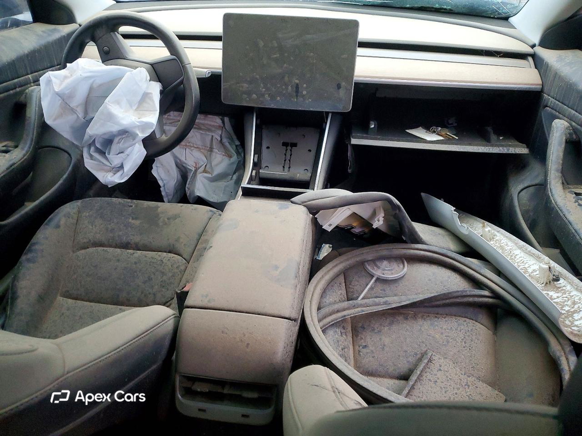 Tesla Model 3 2019