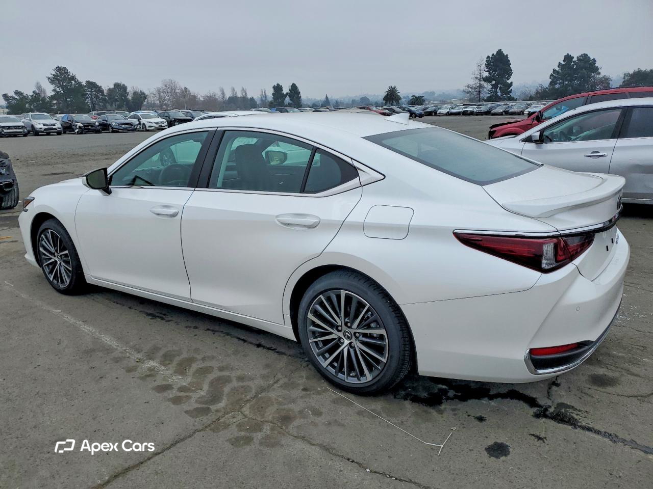 Lexus ES 2025