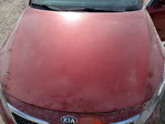 Kia Optima 2013