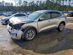 Ford Escape 2020