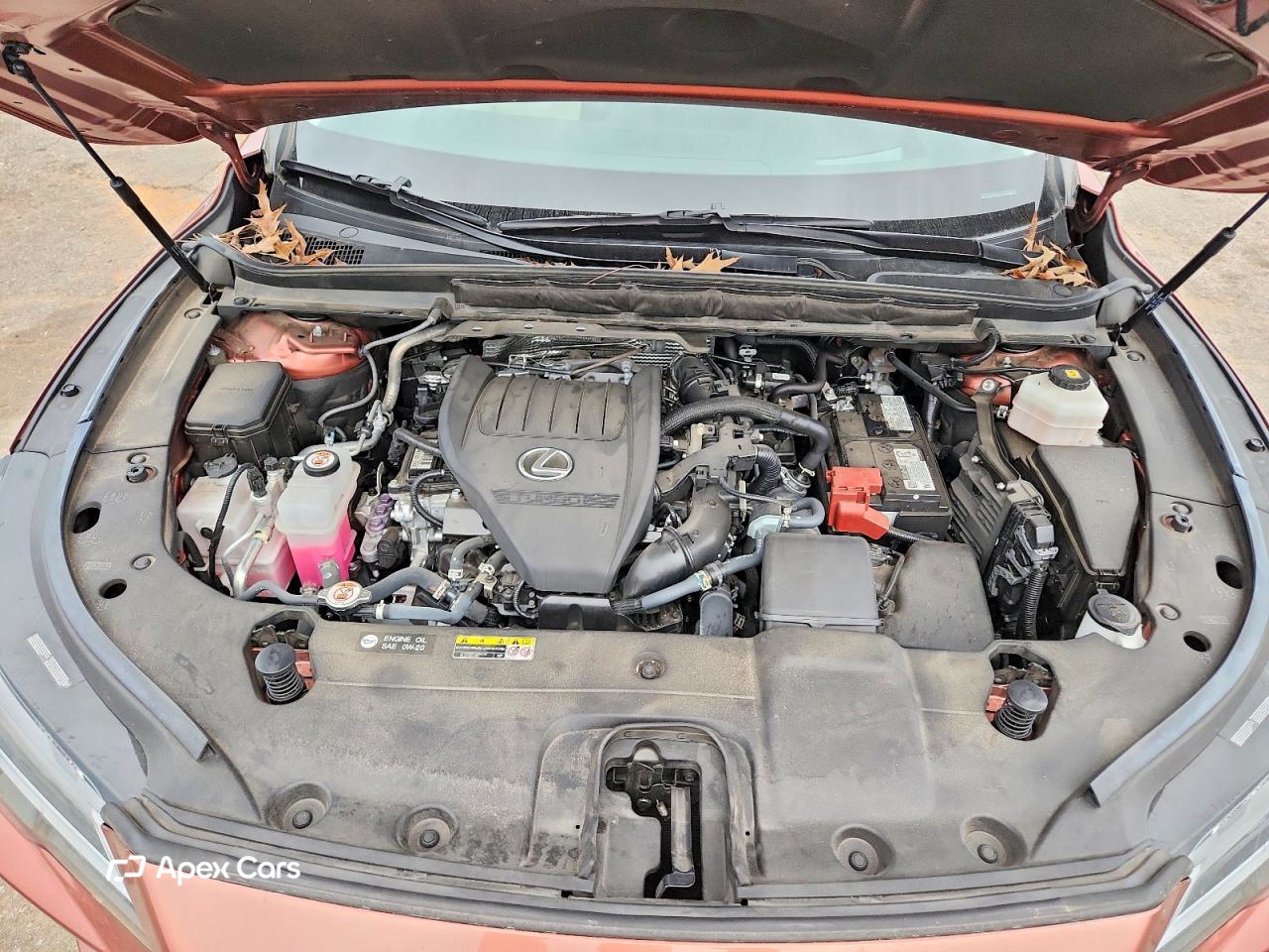 Lexus RX 2023