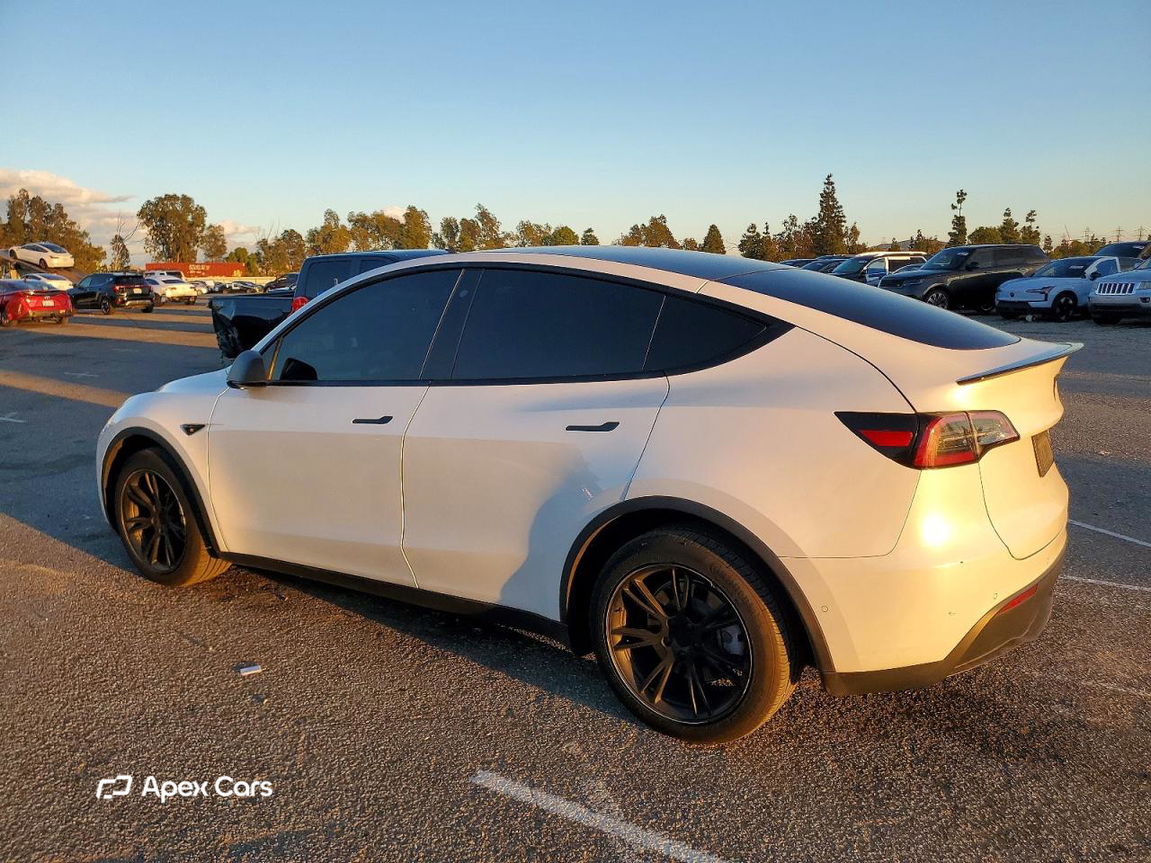 Tesla Model Y 2020