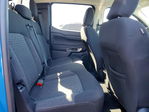 Ford Ranger 2024