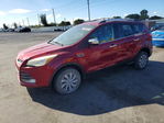 Ford Escape 2016