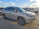 Lexus RX 2013