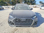 Audi Q5 2021