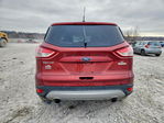 Ford Escape 2014