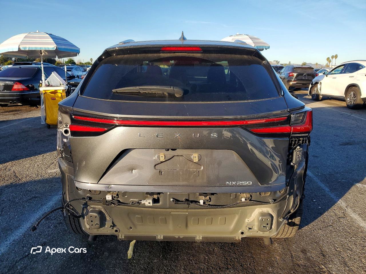 Lexus NX 2023