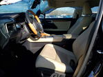 Lexus RX 2022