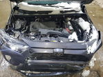 Toyota RAV 4 2024