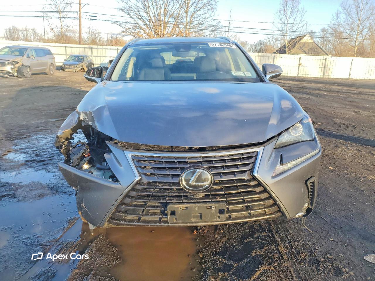 Lexus NX 2020