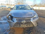 Lexus NX 2020