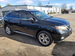 Lexus RX 2011