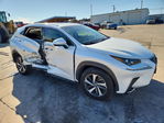 Lexus NX 2019