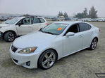 Lexus IS 2011