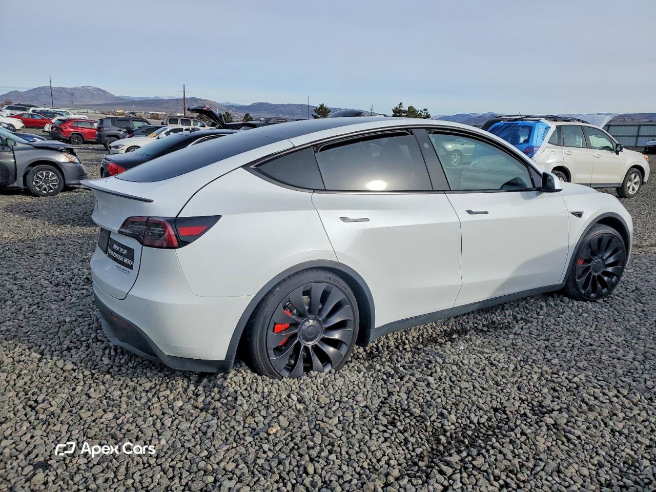 Tesla Model Y 2023