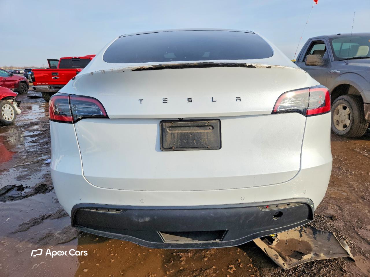 Tesla Model Y 2021