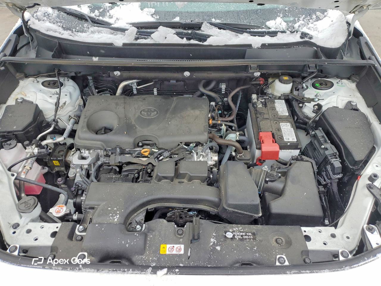 Toyota RAV 4 2025