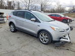 Ford Escape 2013