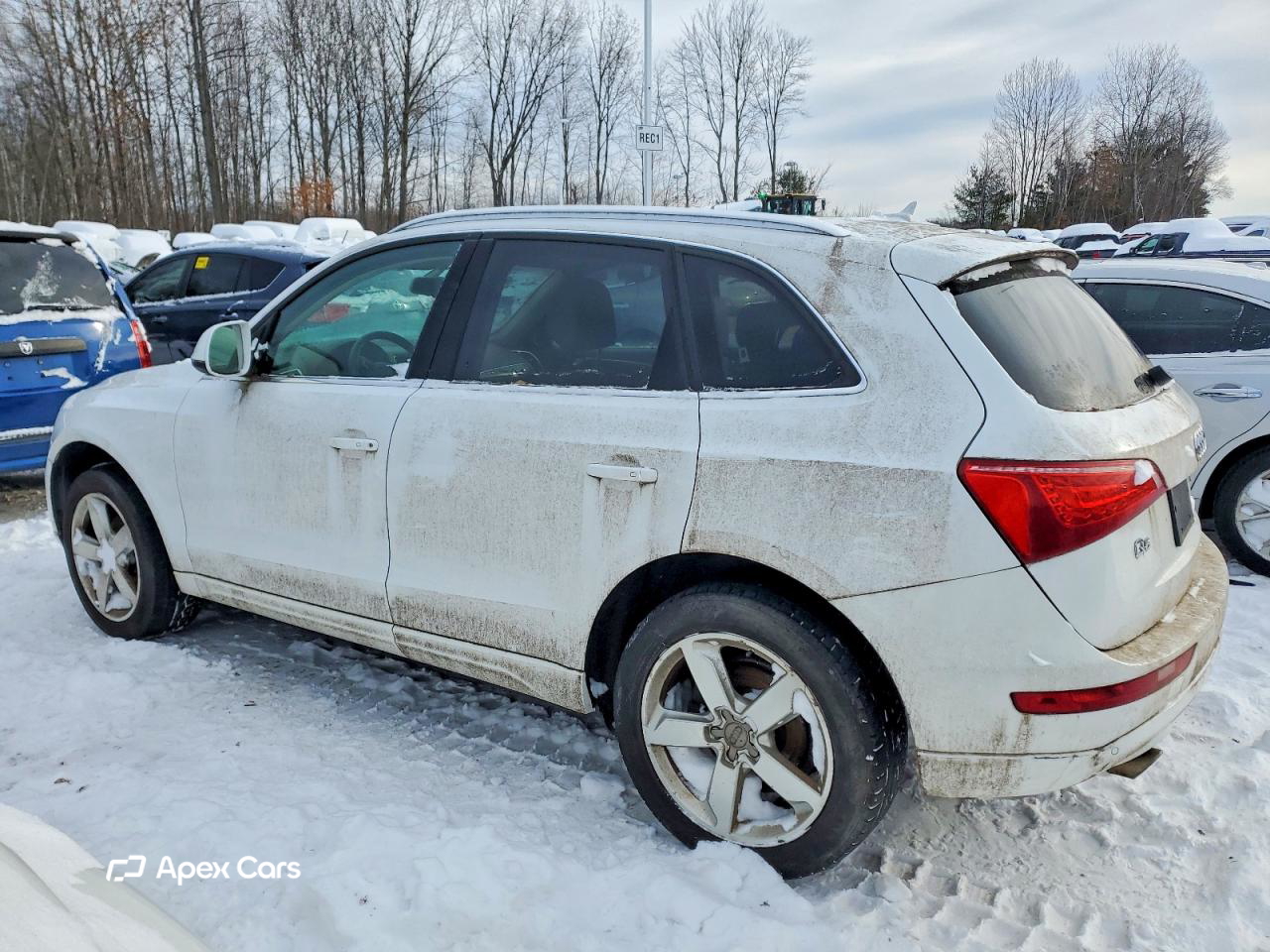 Audi Q5 2010