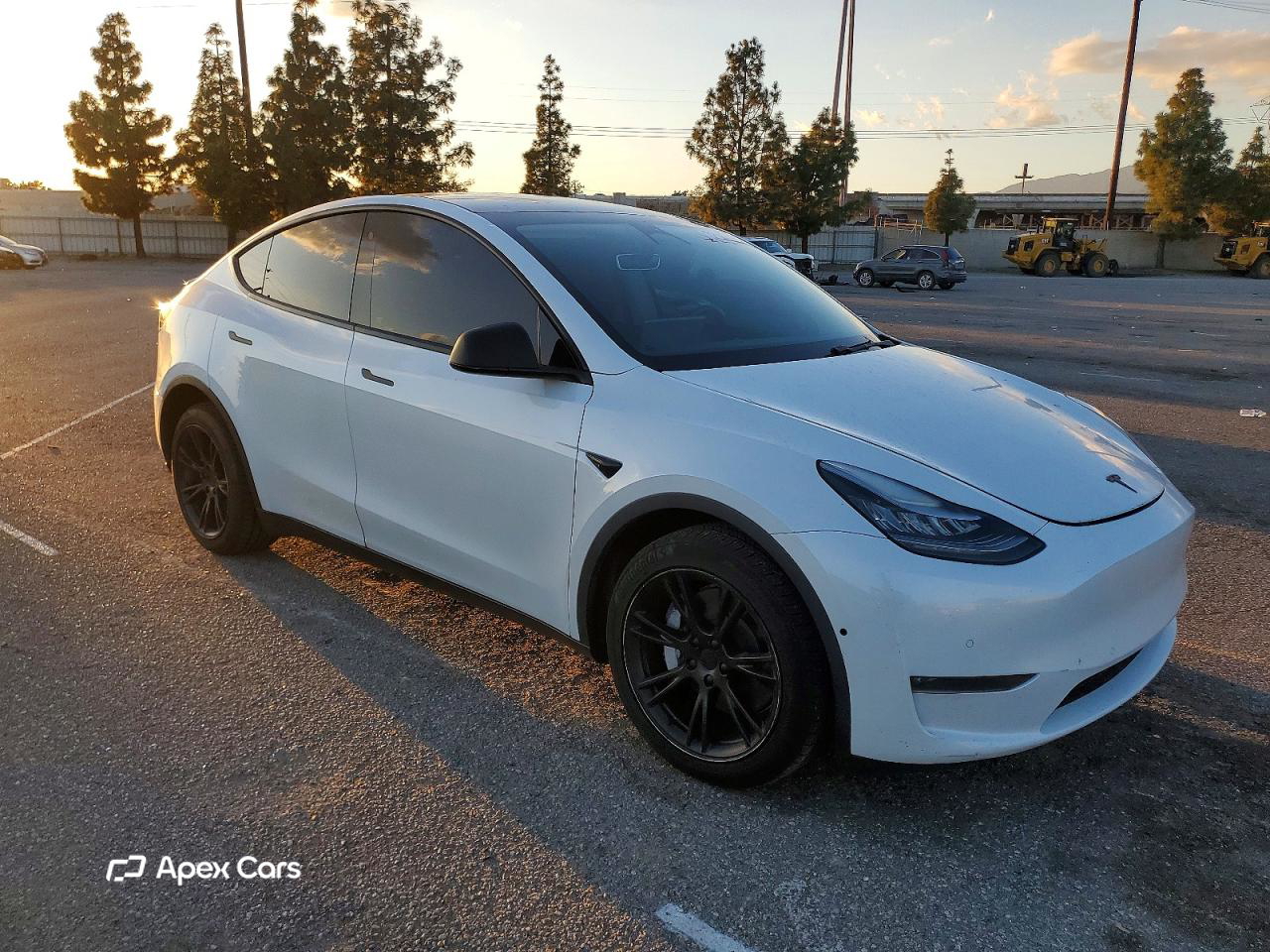 Tesla Model Y 2020