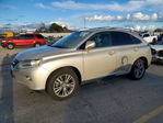 Lexus RX 2013