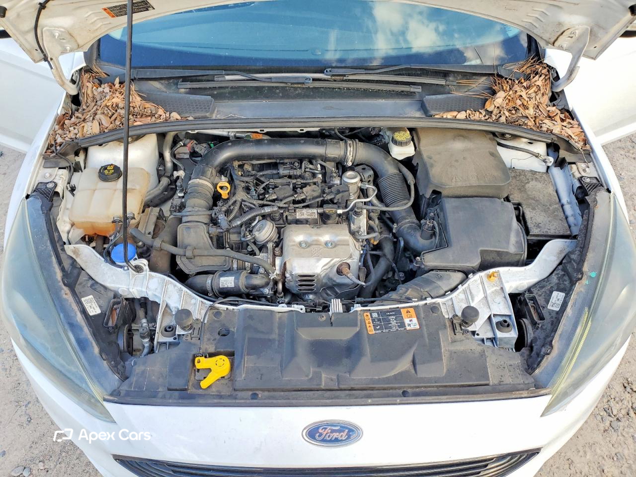 Ford Focus 2017