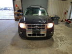 Ford Escape 2012