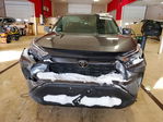 Toyota RAV 4 2024