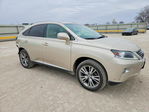 Lexus RX 2013