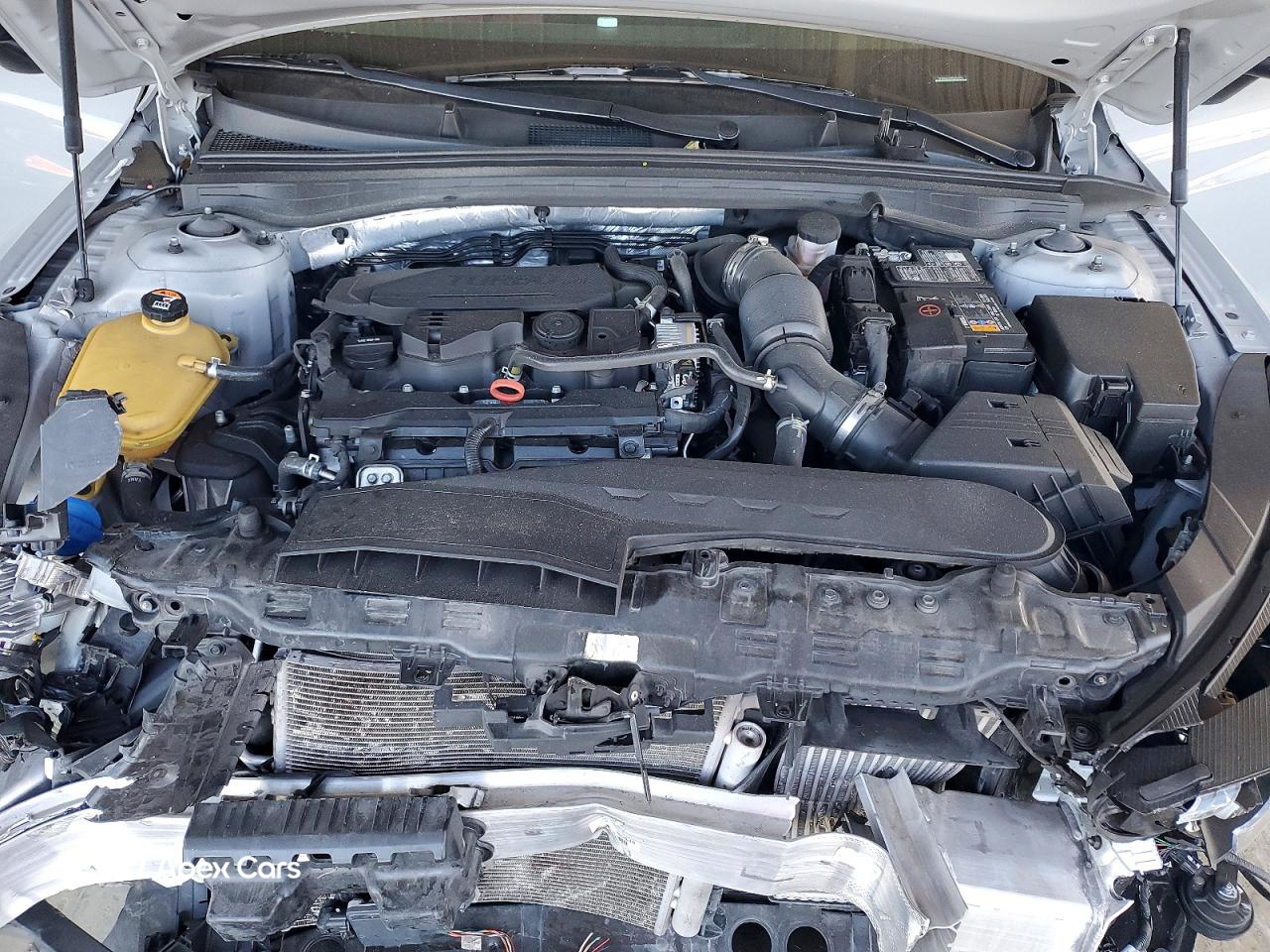 Kia K5 2024