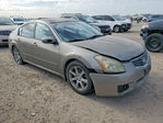 Nissan Maxima 2007