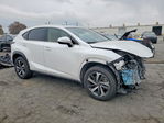 Lexus NX 2020