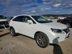 Lexus RX 2013