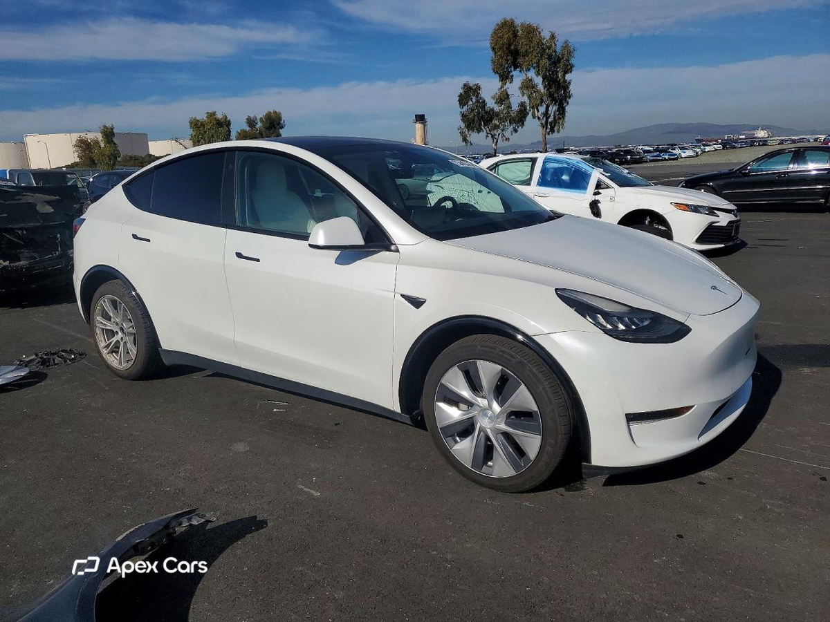 Tesla Model Y 2021