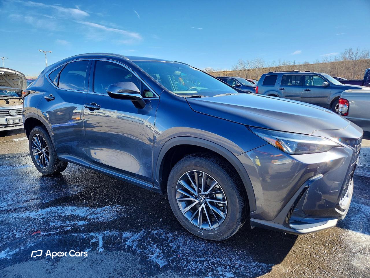 Lexus NX 2023
