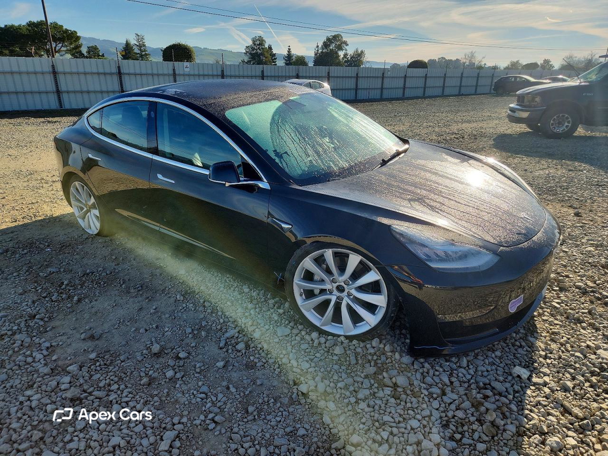 Tesla Model 3 2019
