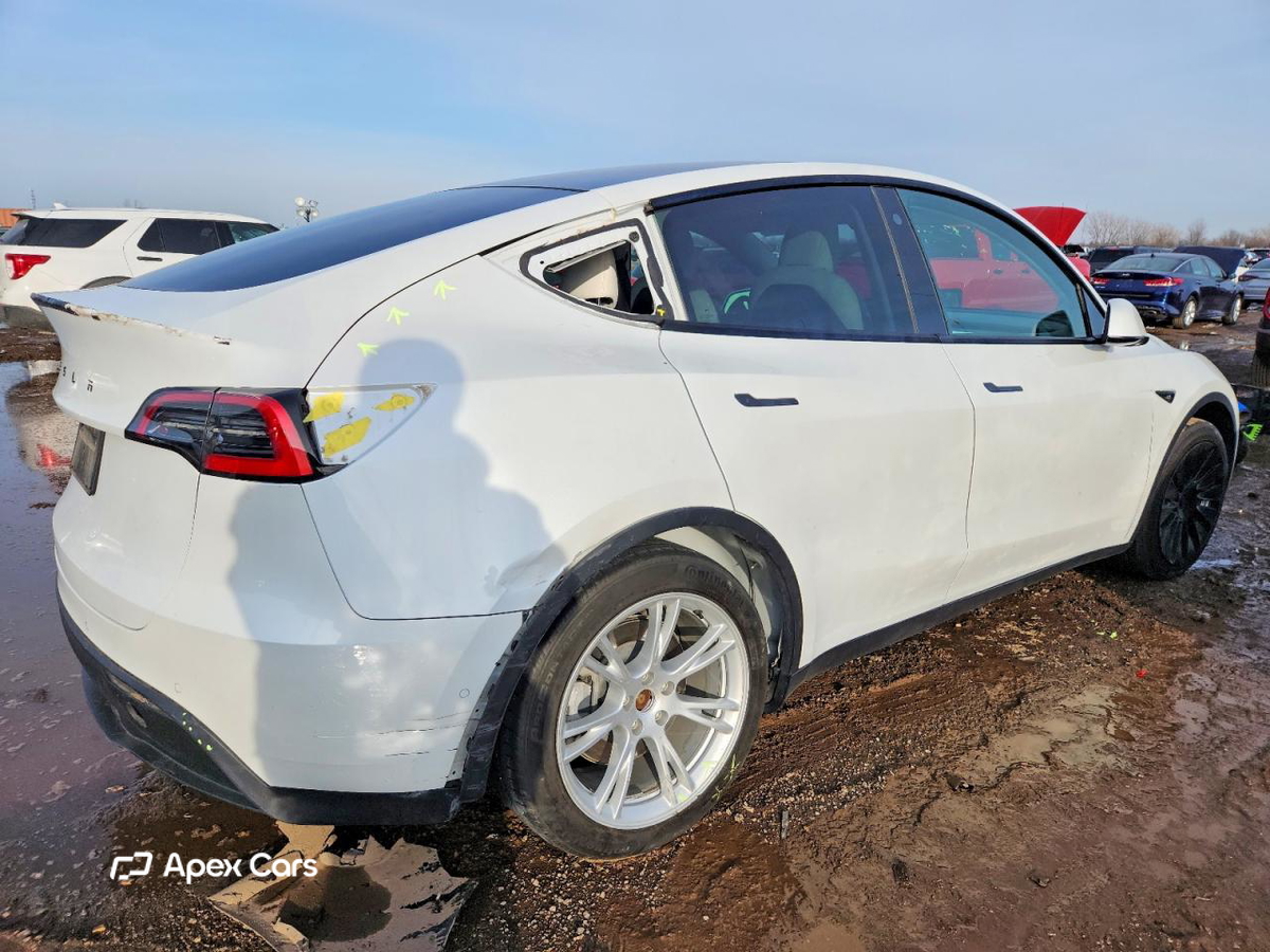 Tesla Model Y 2021