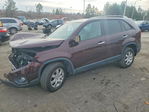 Kia Sorento 2013